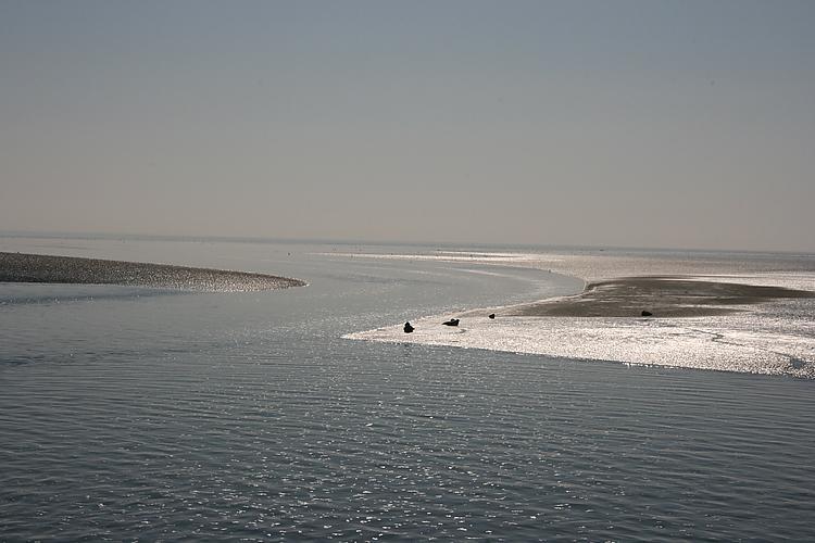 Beach-Dijkvilla Seaview Horizons Makkum Quarto foto